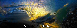 " I thought the report said no surf today"....beach dives... by Dale Kobetich 